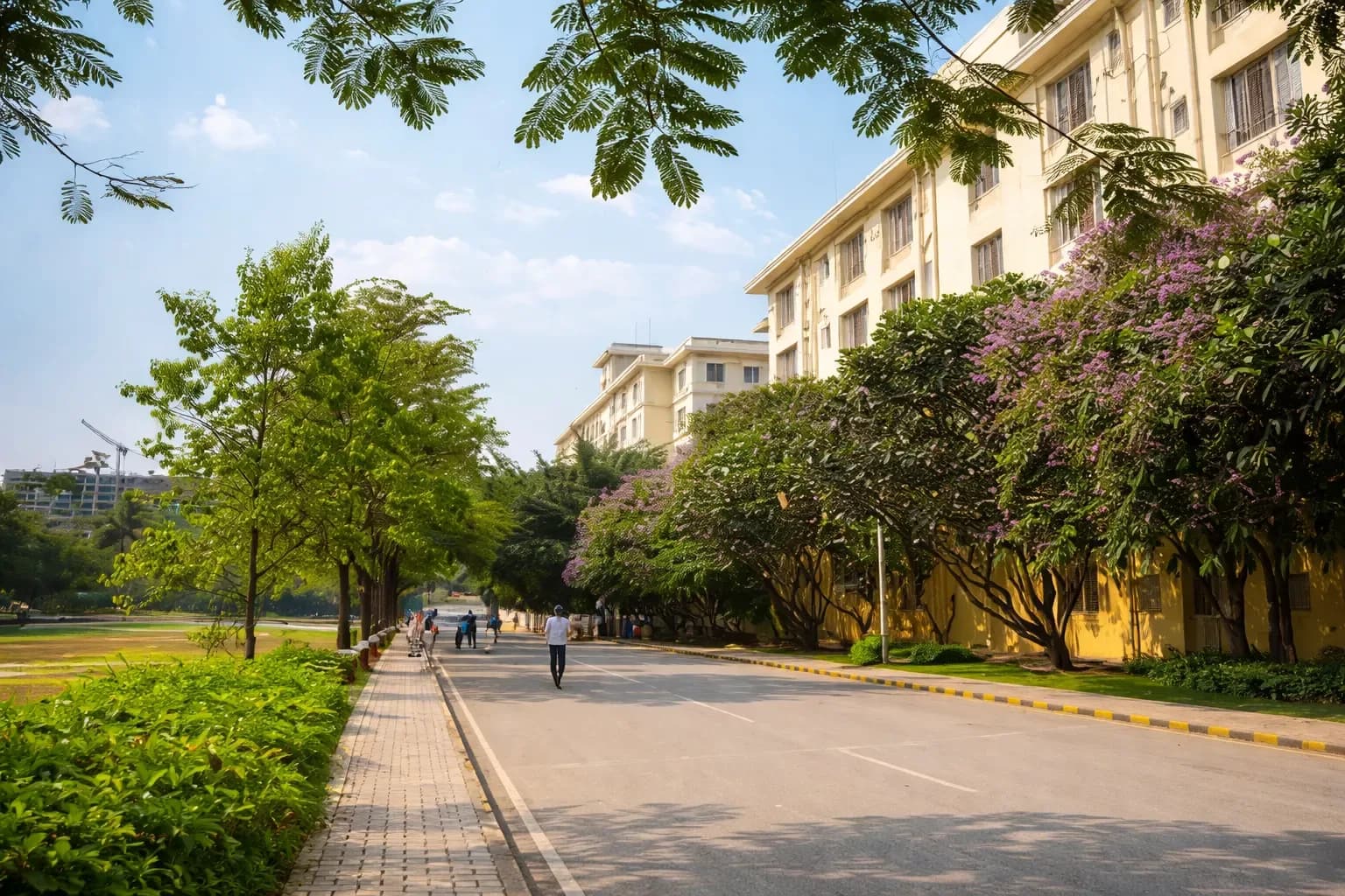 Tree-lined walkway between academic blocks at ADYPU, Pune
